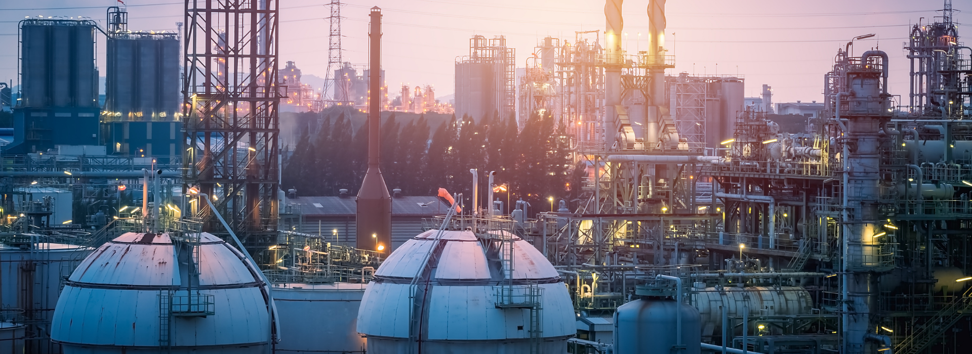 Automatiza tu gestión