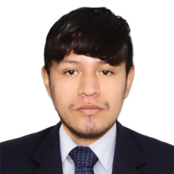 Ing. Michael Tommy Galvan Durand